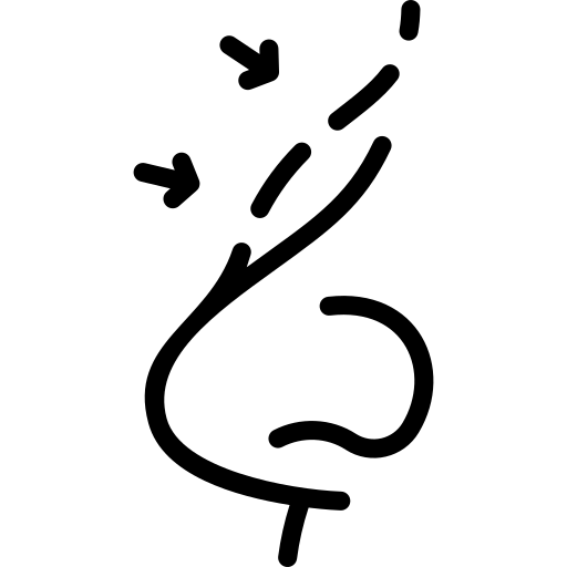 Rinoplastía